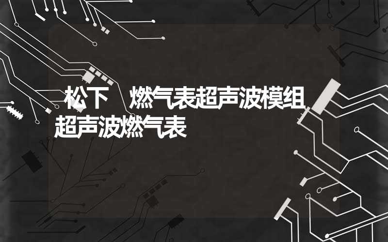 松下 燃气表超声波模组 超声波燃气表